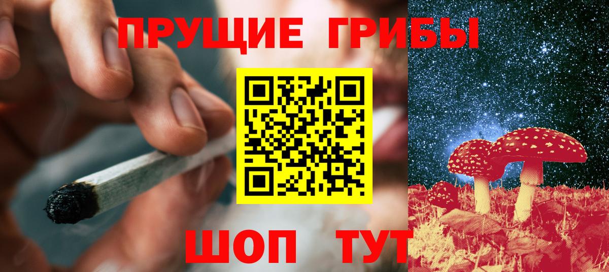 Псилоцибиновые грибы Psilocybine cubensis  Вход с VPN  Галлюциногенные грибы ЛСД  Александров 