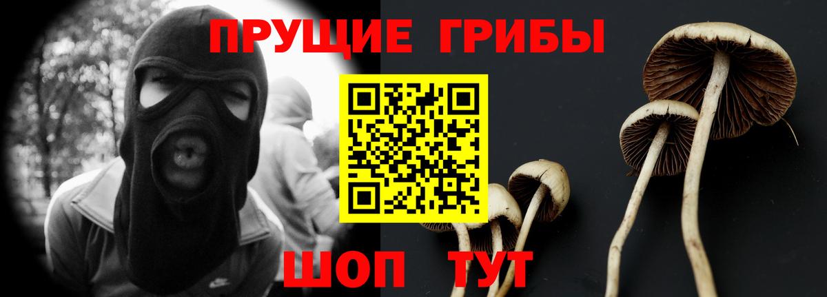Псилоцибиновые грибы ЛСД Александров